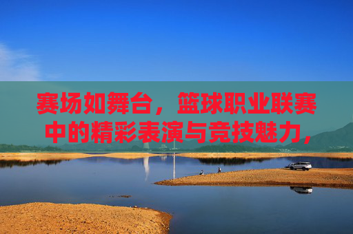 赛场如舞台，篮球职业联赛中的精彩表演与竞技魅力，赛场如舞台，篮球职业联赛中的精彩表演与竞技魅力