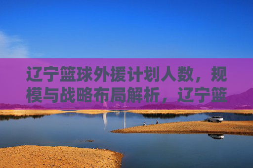 辽宁篮球外援计划人数，规模与战略布局解析，辽宁篮球外援计划，人数、规模与战略布局解析
