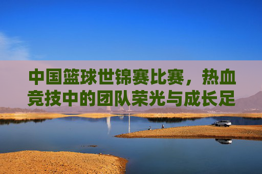 中国篮球世锦赛比赛，热血竞技中的团队荣光与成长足迹，中国篮球世锦赛，热血竞技中的团队荣光与成长足迹
