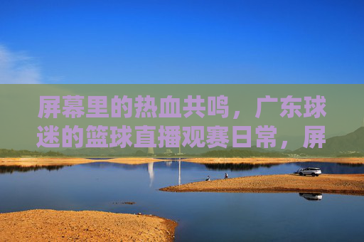 屏幕里的热血共鸣，广东球迷的篮球直播观赛日常，屏幕里的热血共鸣，广东球迷的篮球直播观赛日常