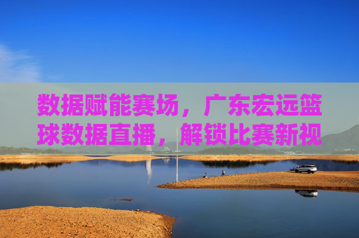 数据赋能赛场，广东宏远篮球数据直播，解锁比赛新视角，数据赋能赛场，广东宏远篮球数据直播，解锁比赛新视角