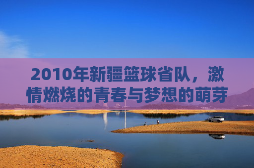 2010年新疆篮球省队,激情燃烧的青春与梦想的萌芽,2010新疆篮球省队,激情燃烧的青春与梦想萌芽