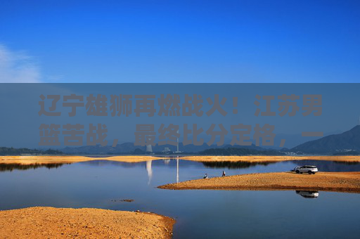 辽宁雄狮再燃战火!江苏男篮苦战,最终比分定格,一场关于意志与实力的篮球史诗,辽宁雄狮再燃战火!江苏男篮苦战,最终比分定格,一场关于意志与实力的篮球史诗