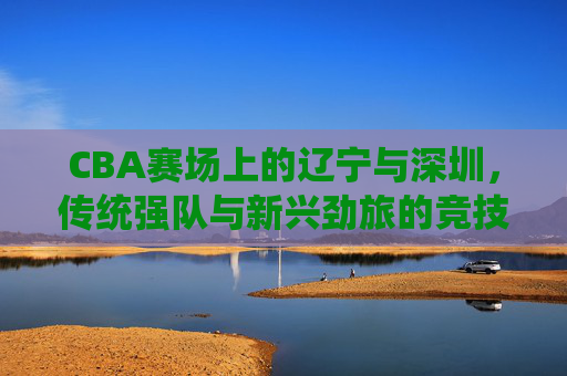 CBA赛场上的辽宁与深圳，传统强队与新兴劲旅的竞技博弈与情缘传承，CBA赛场上的辽宁与深圳，传统强队与新兴劲旅的竞技博弈与情缘传承