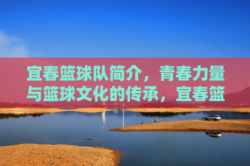 宜春篮球队简介，青春力量与篮球文化的传承，宜春篮球队简介，青春力量与篮球文化的传承