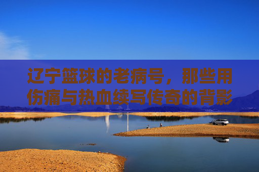 辽宁篮球的老病号,那些用伤痛与热血续写传奇的背影,辽宁篮球的老病号,那些用伤痛与热血续写传奇的背影