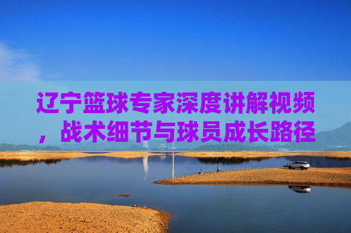 辽宁篮球专家深度讲解视频,战术细节与球员成长路径的精彩解读,辽宁篮球专家深度讲解视频,战术细节与球员成长路径的精彩解读