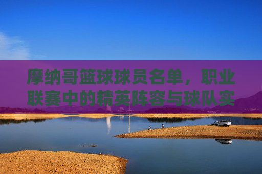 摩纳哥篮球球员名单，职业联赛中的精英阵容与球队实力解析