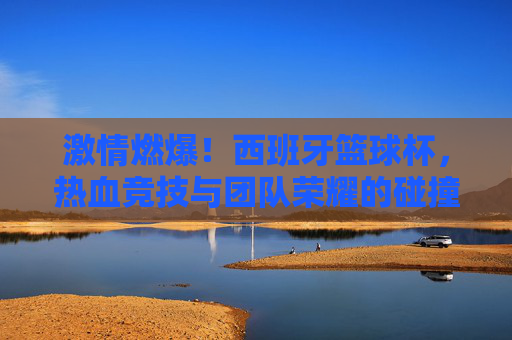 激情燃爆！西班牙篮球杯，热血竞技与团队荣耀的碰撞