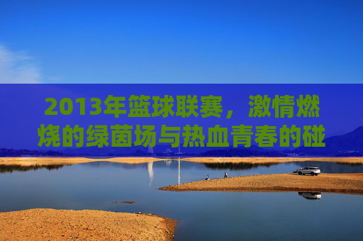 2013年篮球联赛,激情燃烧的绿茵场与热血青春的碰撞,2013篮球联赛,绿茵燃情,青春热血碰撞