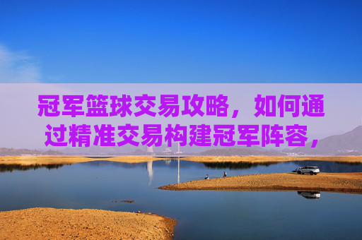 冠军篮球交易攻略，如何通过精准交易构建冠军阵容，冠军篮球交易攻略，如何通过精准交易构建冠军阵容