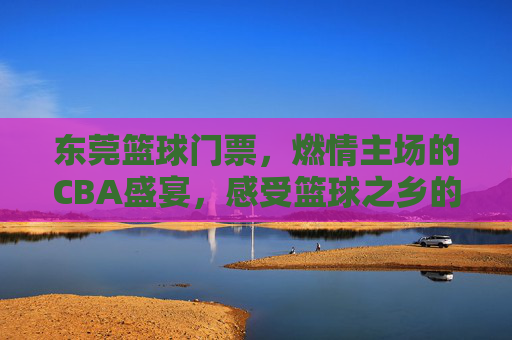 东莞篮球门票,燃情主场的CBA盛宴,感受篮球之乡的热血
