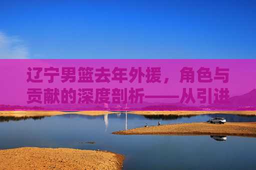 辽宁男篮去年外援,角色与贡献的深度剖析——从引进到融入的团队故事