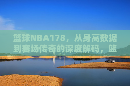 篮球NBA178，从身高数据到赛场传奇的深度解码，篮球NBA178，从身高数据到赛场传奇的深度解码