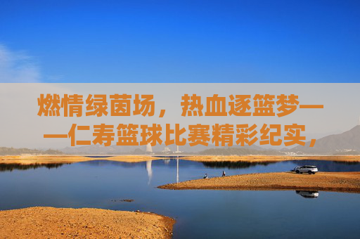 燃情绿茵场，热血逐篮梦——仁寿篮球比赛精彩纪实，燃情绿茵场，热血逐篮梦——仁寿篮球比赛精彩纪实