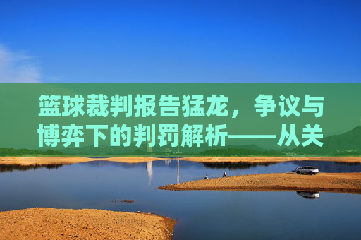 篮球裁判报告猛龙，争议与博弈下的判罚解析——从关键判罚看球队战术与球员表现，篮球裁判报告猛龙，争议与博弈下的判罚解析——从关键判罚看球队战术与球员表现