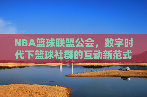 NBA篮球联盟公会，数字时代下篮球社群的互动新范式，NBA篮球联盟公会，数字时代下篮球社群的互动新范式