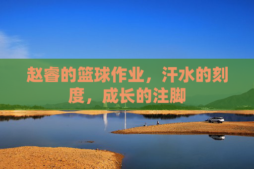 赵睿的篮球作业,汗水的刻度,成长的注脚