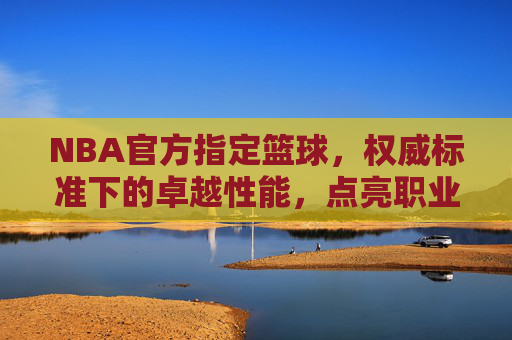 NBA官方指定篮球，权威标准下的卓越性能，点亮职业赛场激情与荣耀，NBA官方指定篮球，权威标准下的卓越性能，点亮职业赛场激情与荣耀