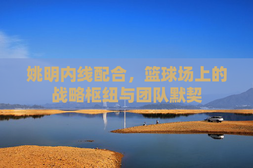 姚明内线配合，篮球场上的战略枢纽与团队默契