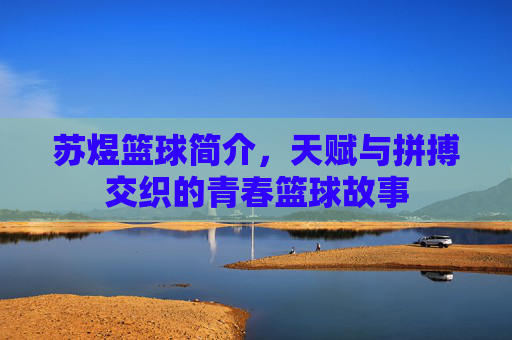 苏煜篮球简介，天赋与拼搏交织的青春篮球故事