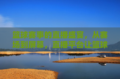 篮球赛事的直播盛宴，从赛场到屏幕，直播平台让篮球魅力无处不在，篮球赛事直播盛宴，从赛场到屏幕，直播平台让篮球魅力无处不在