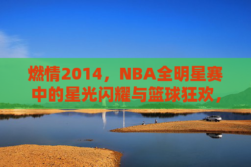 燃情2014，NBA全明星赛中的星光闪耀与篮球狂欢，燃情2014，NBA全明星赛中的星光闪耀与篮球狂欢