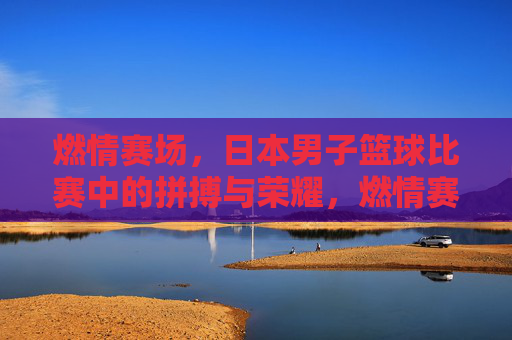 燃情赛场，日本男子篮球比赛中的拼搏与荣耀，燃情赛场，日本男子篮球比赛的拼搏与荣耀
