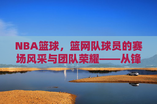 NBA篮球，篮网队球员的赛场风采与团队荣耀——从锋线尖刀到内线支柱的竞技故事，NBA篮球，篮网队球员的赛场风采与团队荣耀——从锋线尖刀到内线支柱的竞技故事