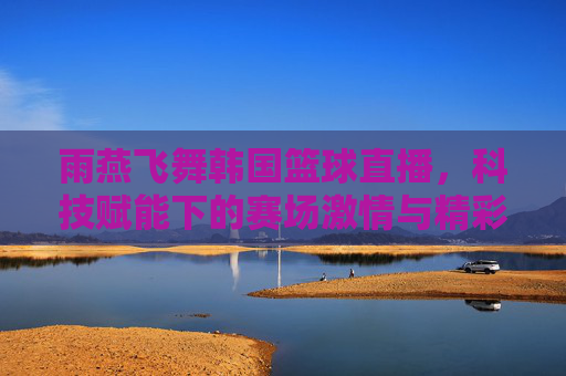 雨燕飞舞韩国篮球直播，科技赋能下的赛场激情与精彩回放，雨燕飞舞韩国篮球直播，科技赋能下的赛场激情与精彩回放