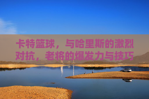 卡特篮球，与哈里斯的激烈对抗，老将的爆发力与技巧的完美碰撞，卡特与哈里斯激烈对抗，老将爆发力与技巧的完美碰撞