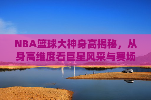NBA篮球大神身高揭秘，从身高维度看巨星风采与赛场统治力，NBA篮球大神身高揭秘，从身高维度看巨星风采与赛场统治力