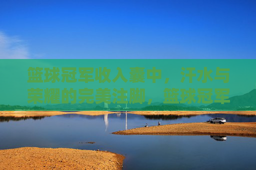 篮球冠军收入囊中，汗水与荣耀的完美注脚，篮球冠军收入囊中，汗水与荣耀的完美注脚