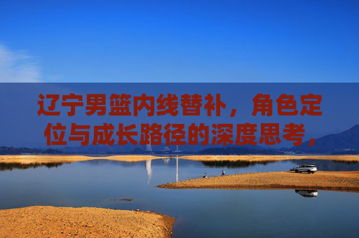 辽宁男篮内线替补，角色定位与成长路径的深度思考，辽宁男篮内线替补，角色定位与成长路径的深度思考