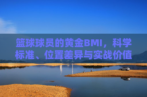 篮球球员的黄金BMI，科学标准、位置差异与实战价值解析，篮球球员的黄金BMI，科学标准、位置差异与实战价值解析