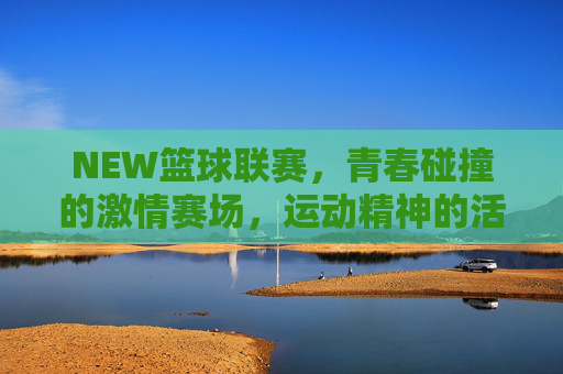 NEW篮球联赛，青春碰撞的激情赛场，运动精神的活力展现，NEW篮球联赛，青春碰撞的激情赛场，运动精神的活力展现
