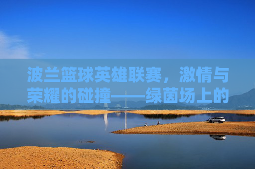 波兰篮球英雄联赛，激情与荣耀的碰撞——绿茵场上的波兰篮球传奇，波兰篮球英雄联赛，激情与荣耀的碰撞——绿茵场上的波兰篮球传奇
