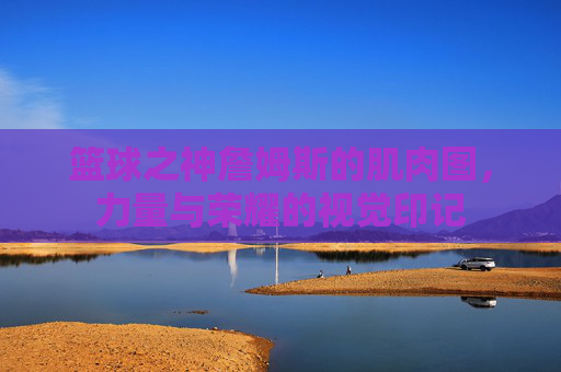 篮球之神詹姆斯的肌肉图,力量与荣耀的视觉印记