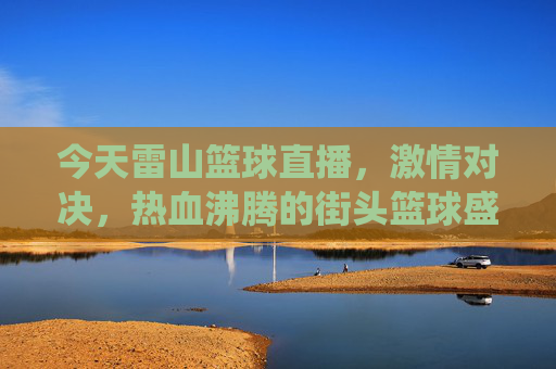 今天雷山篮球直播，激情对决，热血沸腾的街头篮球盛宴——雷山球员的精彩演绎与直播平台的魅力