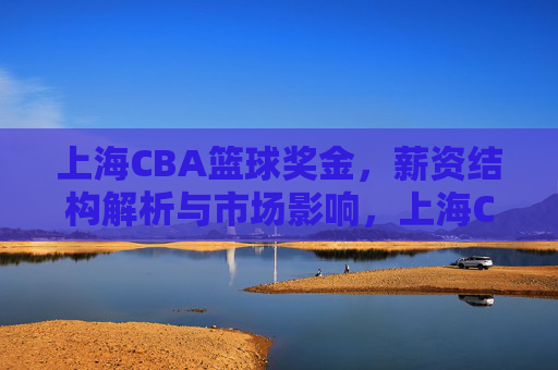 上海CBA篮球奖金,薪资结构解析与市场影响,上海CBA球队奖金与薪资结构解析,市场影响分析