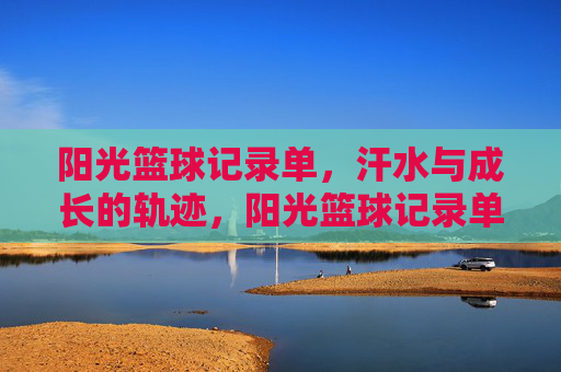阳光篮球记录单，汗水与成长的轨迹，阳光篮球记录单，汗水与成长的轨迹