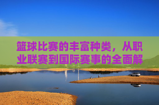 篮球比赛的丰富种类，从职业联赛到国际赛事的全面解析，篮球赛事种类全解析，从职业联赛到国际大赛的丰富类型概览
