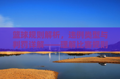 篮球规则解析，违例类型与判罚详解——理解比赛规则，提升竞技水平