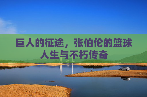 巨人的征途,张伯伦的篮球人生与不朽传奇