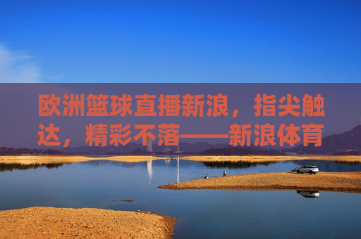 欧洲篮球直播新浪，指尖触达，精彩不落——新浪体育带你纵览洲际篮球盛宴