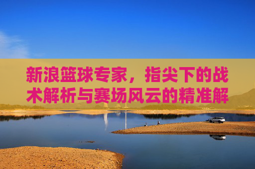 新浪篮球专家，指尖下的战术解析与赛场风云的精准解读——解码体育评论的深度与温度