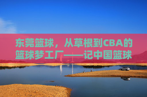 东莞篮球，从草根到CBA的篮球梦工厂——记中国篮球职业联赛中的东莞队