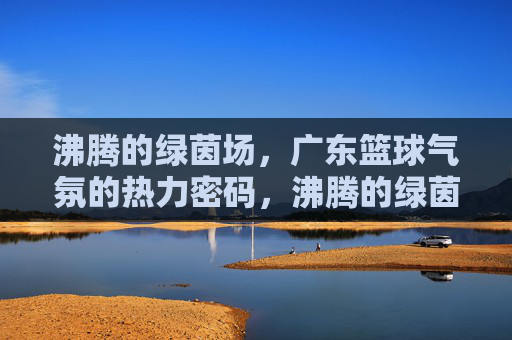 沸腾的绿茵场,广东篮球气氛的热力密码,沸腾的绿茵场,广东篮球气氛的热力密码