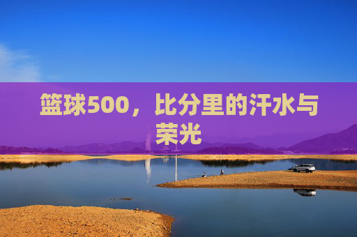 篮球500,比分里的汗水与荣光