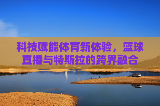 科技赋能体育新体验，篮球直播与特斯拉的跨界融合